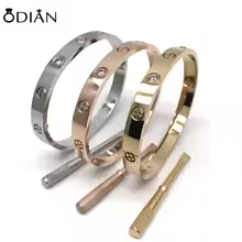 Luxury Brand Jewelry Fashion Stainless Steel Charm Luxury Jewelry LOVE Bangle SCREW Cartierred Bracelets Couple Gift